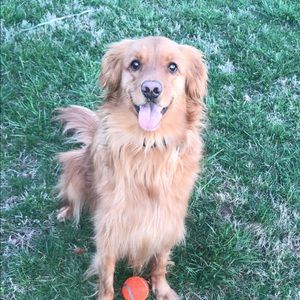 Meet your Posher, Kylee